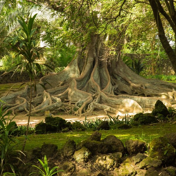 Gardens, Squares and Plazas