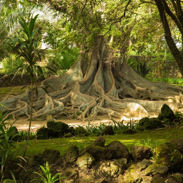 Jardins, Praças e Largos