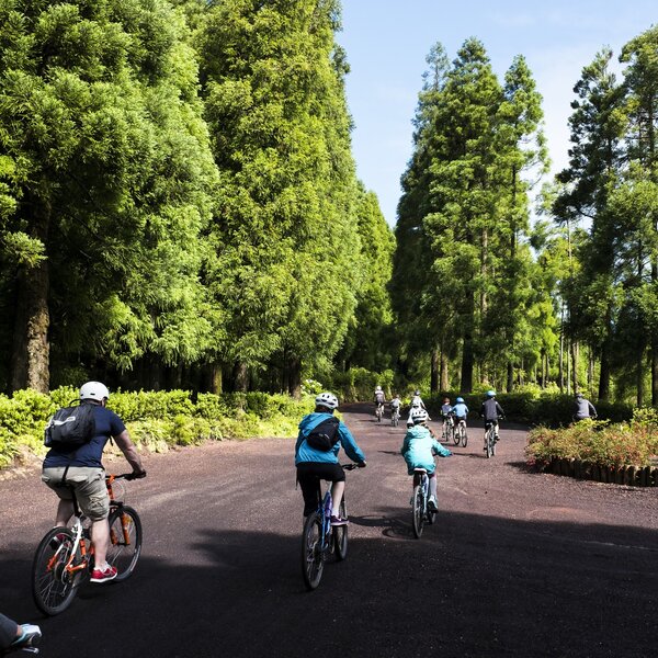Passeios de Bicicleta