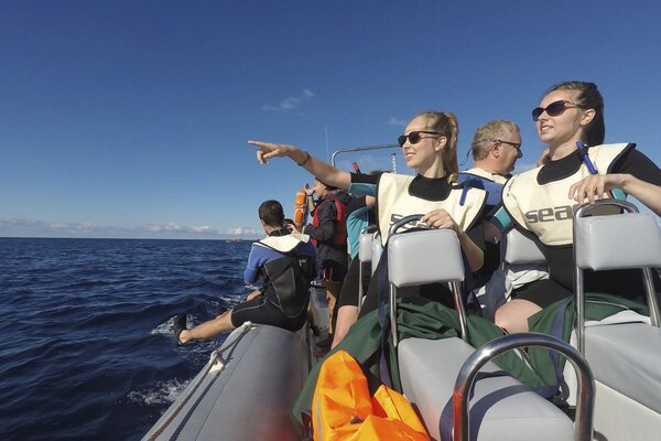 Agências de Animação Turística